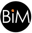 Bold Insider Marketing - BIM logo social cropped
